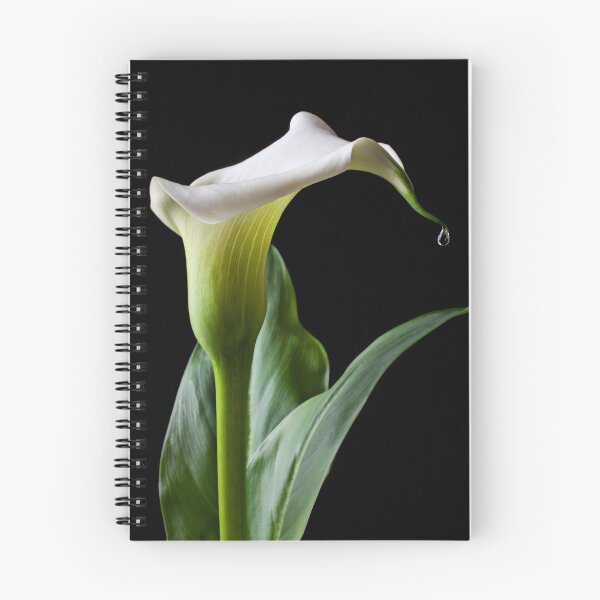 Item preview, Calla lily with drip designed and sold by Garry Gay.