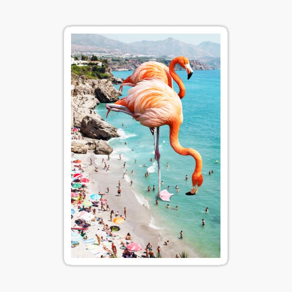 Flamingos on the Beach #redbubble #decor Sticker