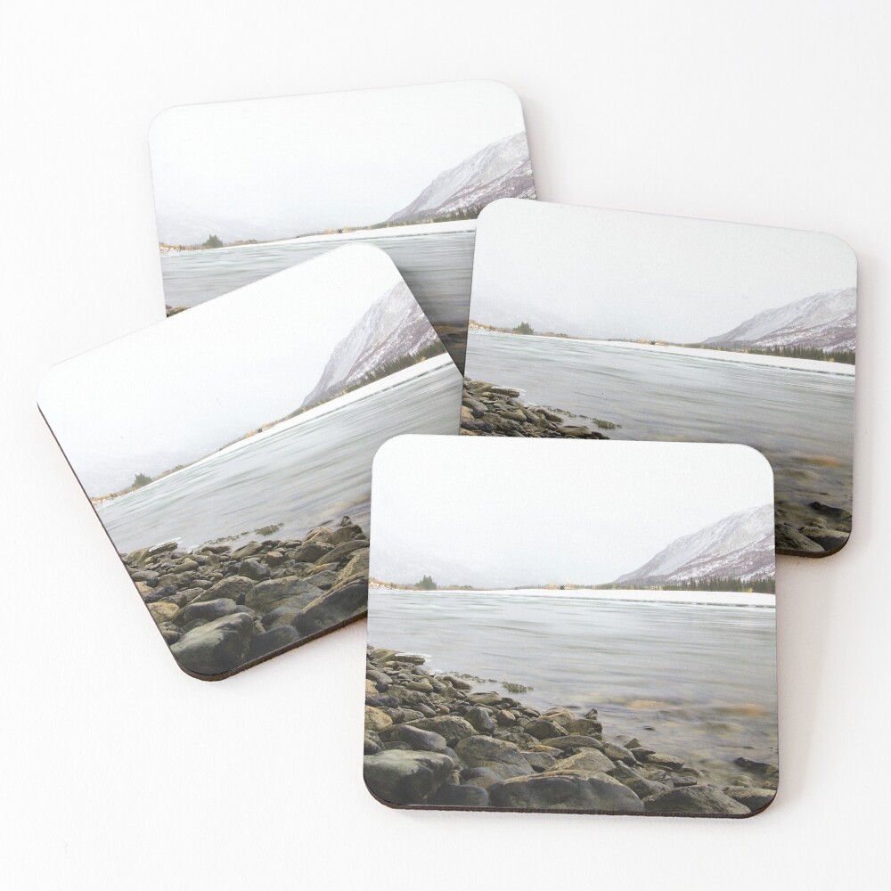 Item preview, Coasters (Set of 4) designed and sold by RScaptor.