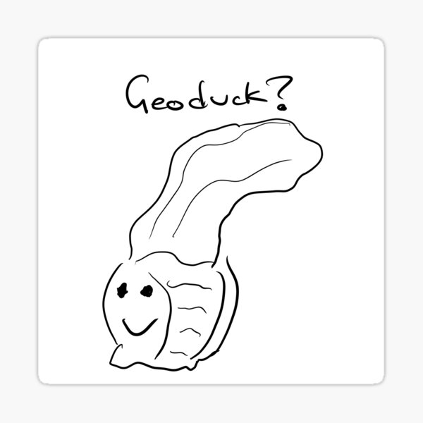 Geoduck Gifts & Merchandise for Sale Redbubble