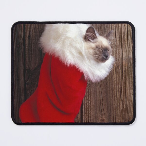 Item preview, Kitten in stocking designed and sold by Garry Gay.
