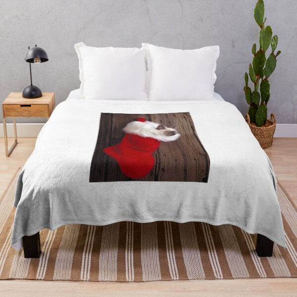 Item preview, Kitten in stocking designed and sold by Garry Gay.