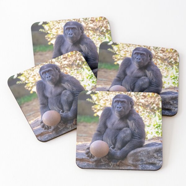 Item preview, Gorilla Moke at the National Zoo designed and sold by Zoo and Nature Photography by Karie.