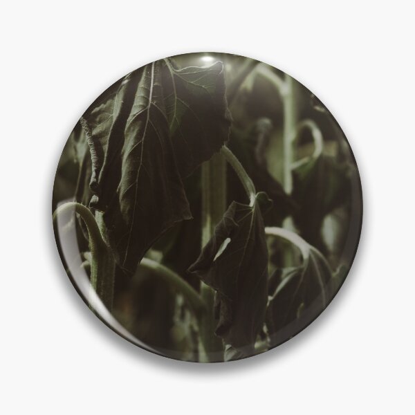 Item preview, Dry Sunflower Stems  designed and sold by Aini9riv.