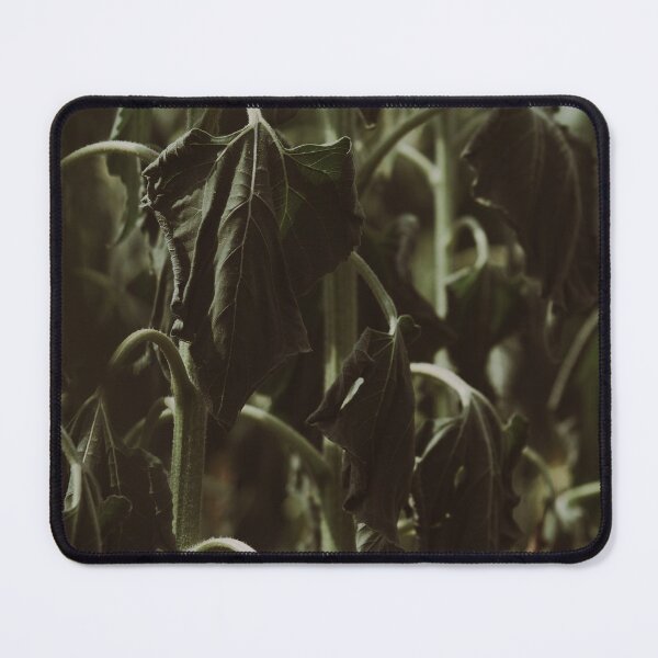Item preview, Dry Sunflower Stems  designed and sold by Aini9riv.