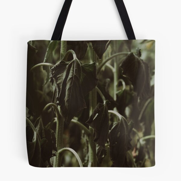 Item preview, Dry Sunflower Stems  designed and sold by Aini9riv.