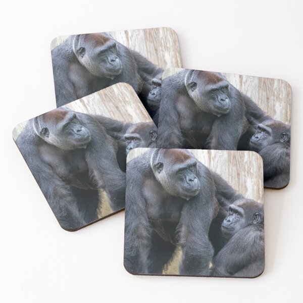 Item preview, Gorillas Calaya and Moke at the National Zoo designed and sold by Zoo and Nature Photography by Karie.