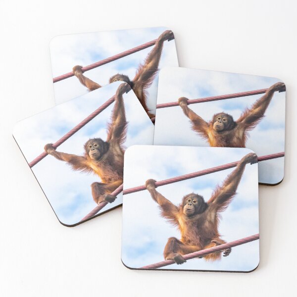 Item preview, Orangutan Redd at the National Zoo designed and sold by Zoo and Nature Photography by Karie.