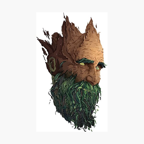 Beard Photographic Print