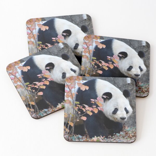 Item preview, Giant Panda Tian Tian at the National Zoo designed and sold by Zoo and Nature Photography by Karie.