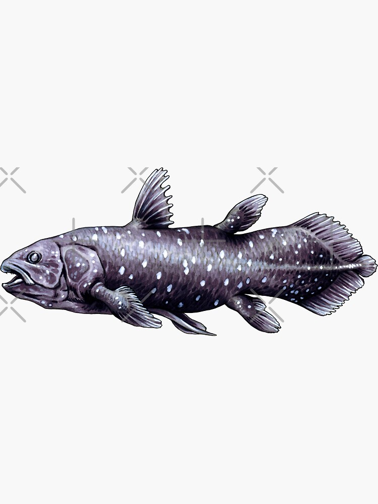 Coelacanth Fish by antarcticpip