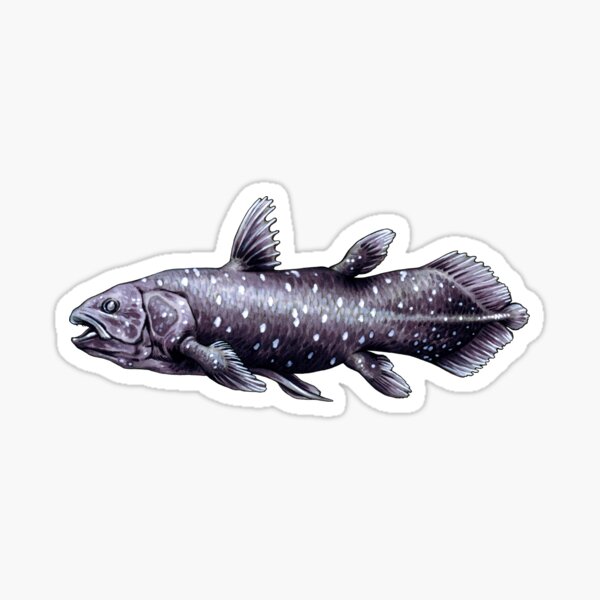 Coelacanth Fish Sticker