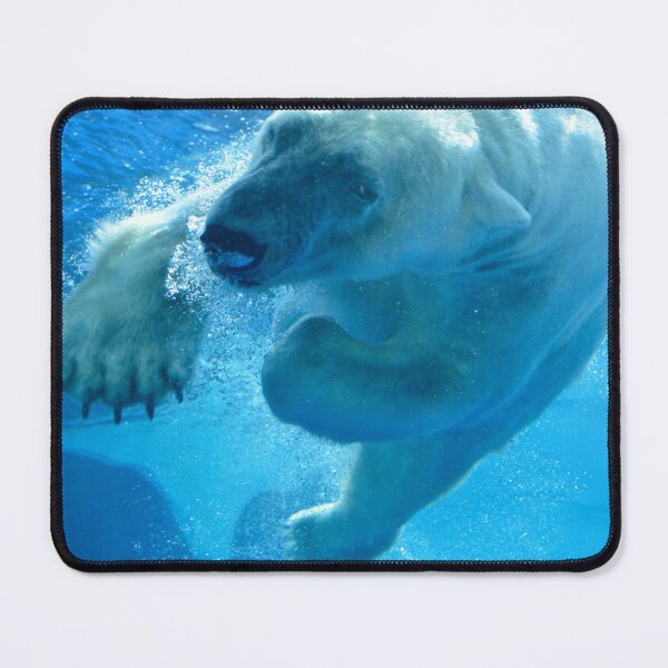 Item preview, Polar Bear at the Detroit Zoo designed and sold by Zoo and Nature Photography by Karie.