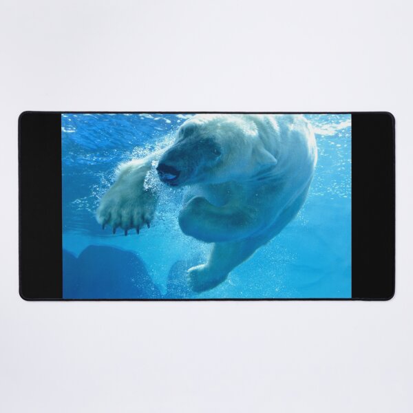 Item preview, Polar Bear at the Detroit Zoo designed and sold by Zoo and Nature Photography by Karie.