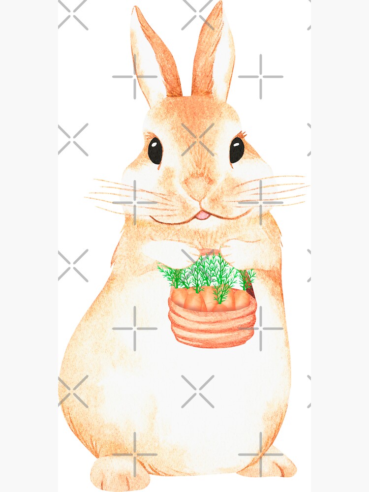 rabbit eat carrot drawing - Clip Art Library