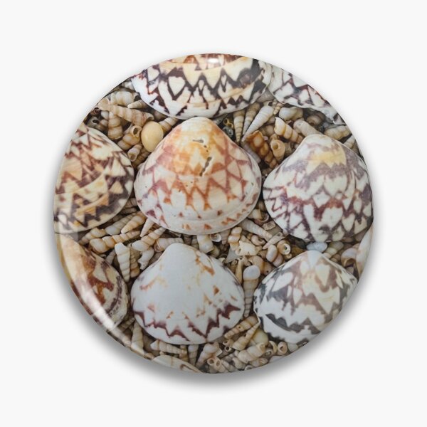 Item preview, Zigzag Venus Clam Shells designed and sold by C-L-Cs.