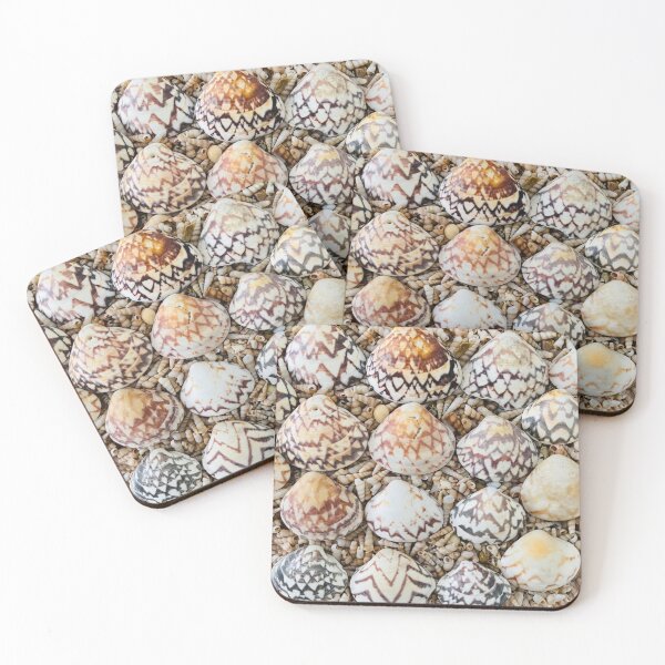Item preview, Zigzag Venus Clam Shells designed and sold by C-L-Cs.