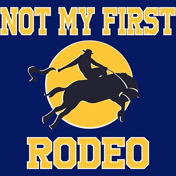 Artwork thumbnail, Not My First Rodeo by Dorothyruss