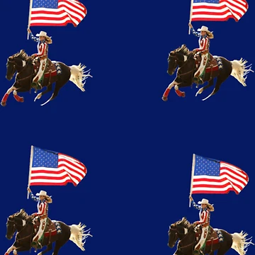 Artwork thumbnail, Not My First Rodeo Pack by Dorothyruss