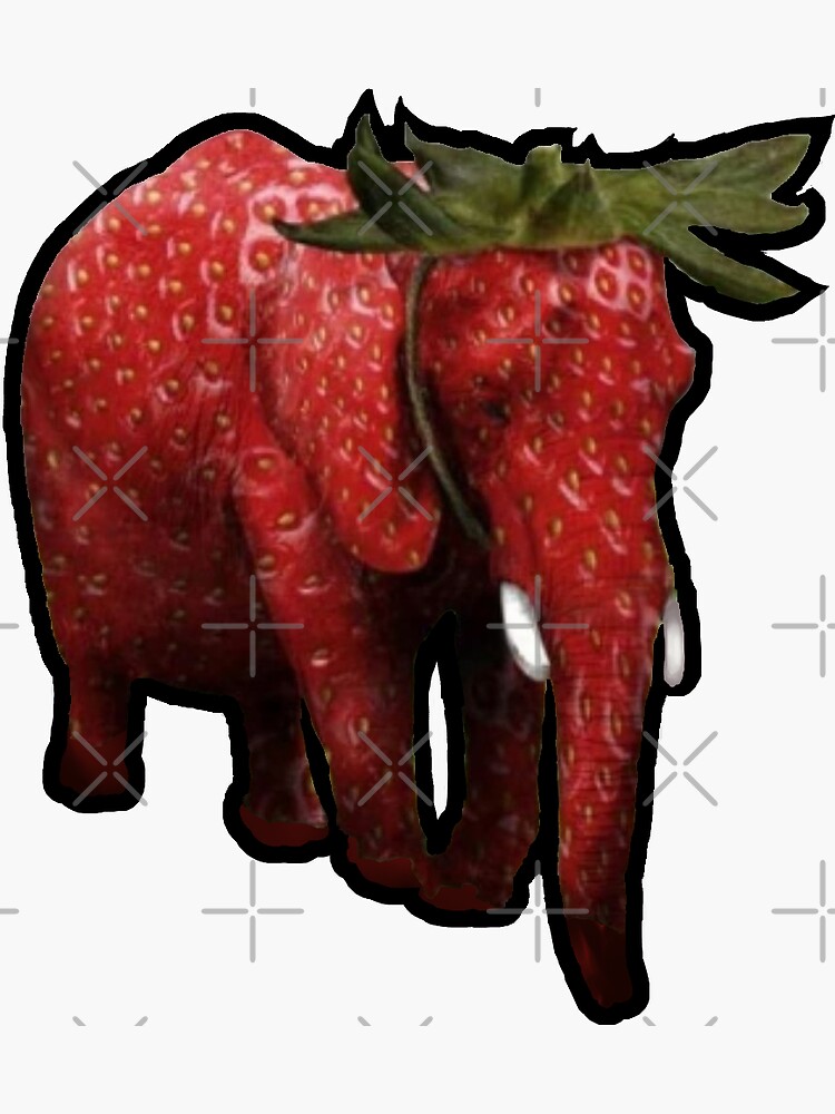 "Strawberry Elephant" Sticker for Sale by ARandomIntern Redbubble