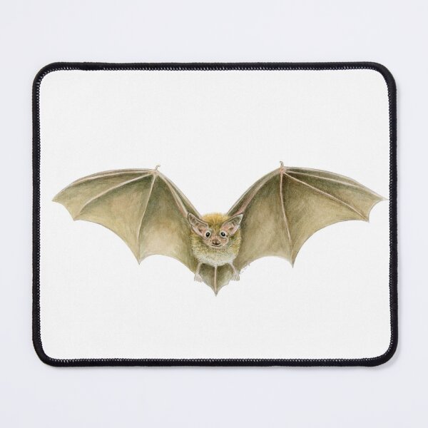 Item preview, Daubenton's Bat designed and sold by Tamara Clark.
