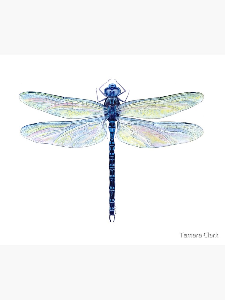 Aperçu 5 sur 5. Tapis de souris avec l'œuvre Spatterdock Dragonfly créée et vendue par edenart.