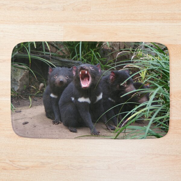 Item preview, Tasmanian devils at the zoo, Australia designed and sold by FranWest.