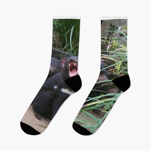 Item preview, Tasmanian devils at the zoo, Australia designed and sold by FranWest.