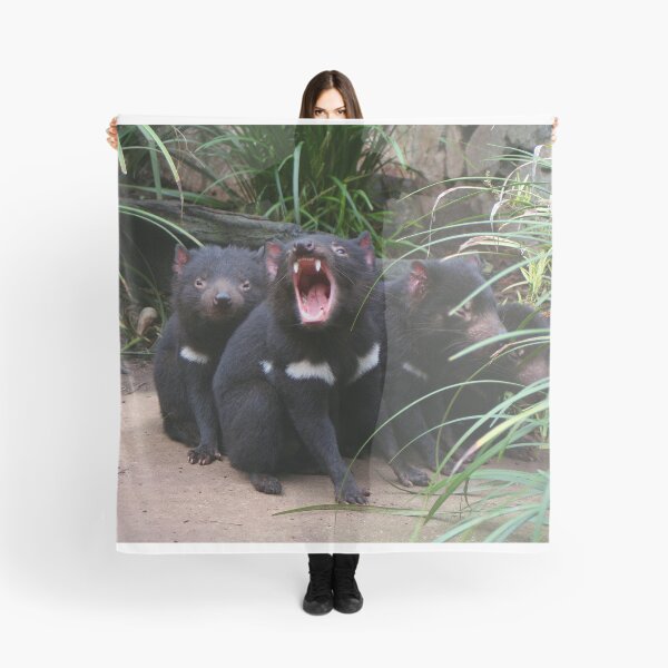 Item preview, Tasmanian devils at the zoo, Australia designed and sold by FranWest.