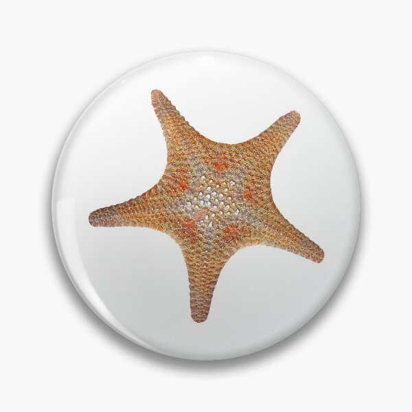Item preview, Ocean Star designed and sold by Jay Heifetz.