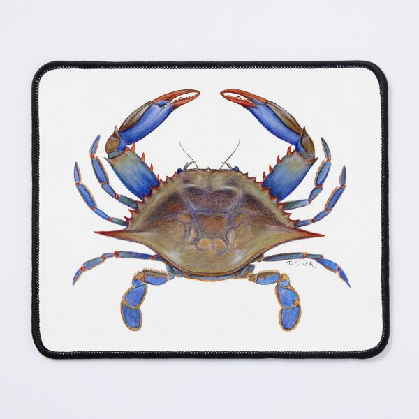 Item preview, Blue Crab (Callinectus sapidus) designed and sold by Tamara Clark.