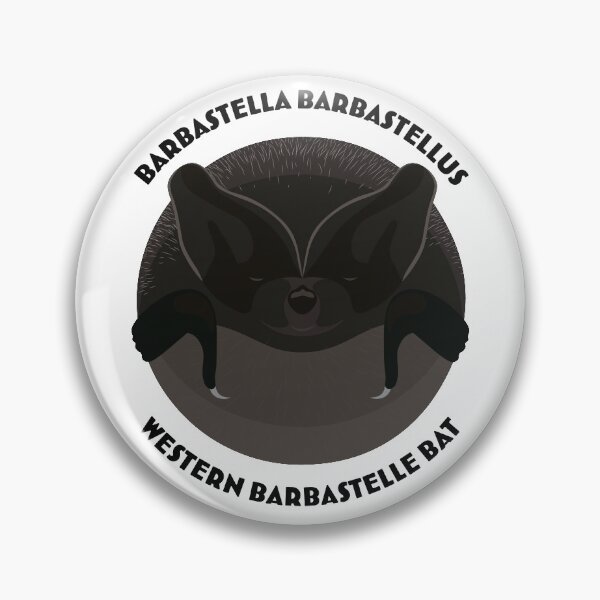 Item preview, Hibernating Western Barbastelle bat drawing with scientific and English names designed and sold by MarisG.