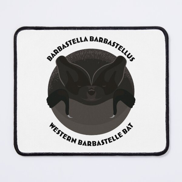 Item preview, Hibernating Western Barbastelle bat drawing with scientific and English names designed and sold by MarisG.