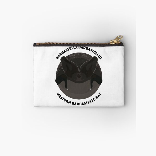 Item preview, Hibernating Western Barbastelle bat drawing with scientific and English names designed and sold by MarisG.
