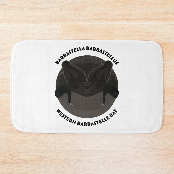 Item preview, Hibernating Western Barbastelle bat drawing with scientific and English names designed and sold by MarisG.