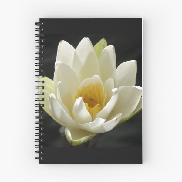 Item preview, Lotus flower designed and sold by Thecla Mary Correya.