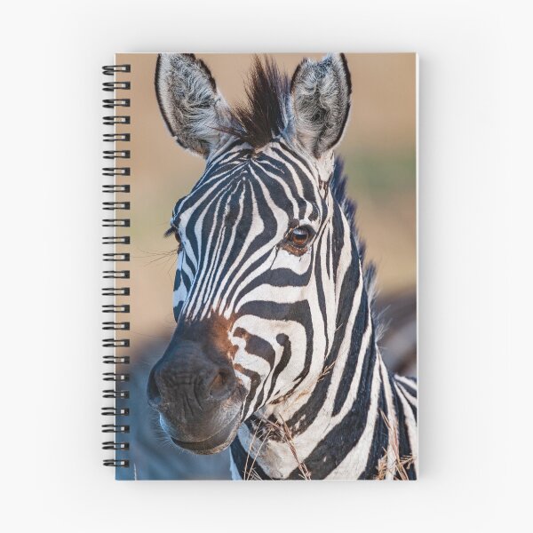 Item preview, Zebra portrait designed and sold by Ingo Gerlach.