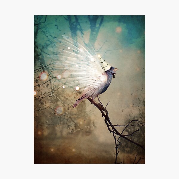 Feeling Festive Photographic Print