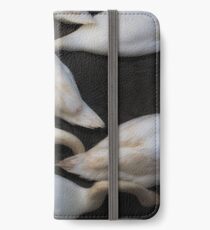 kopflose Schwäne, die in einen See einziehen iPhone Flip-Case/Hülle/Klebefolie
