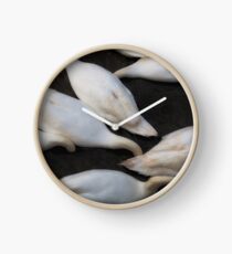 kopflose Schwäne, die in einen See einziehen Uhr