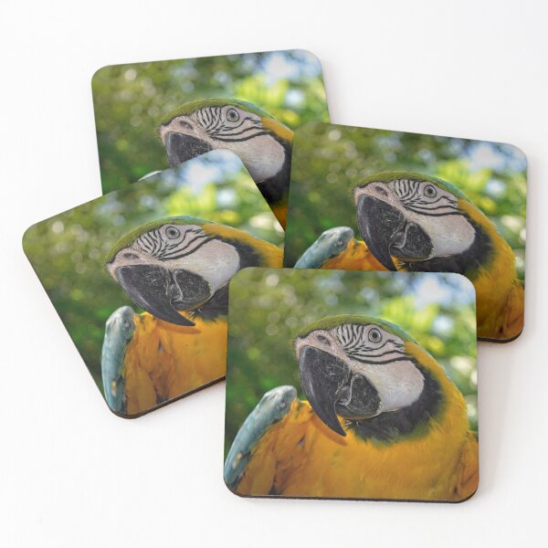 Item preview, Colourful blue and goldMacaw Parrot design designed and sold by Denjones-Gifts.