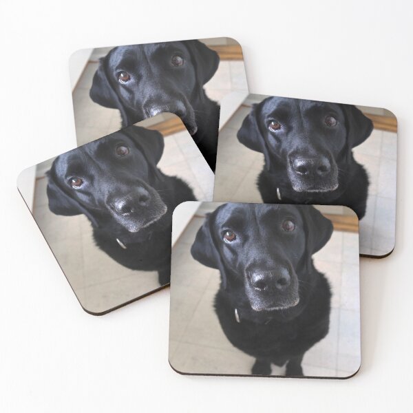 Item preview, Sia 8 years old Labrador designed and sold by Trine.