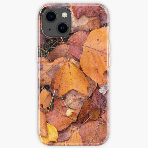 Colourful red and orange autumn leaves iPhone Soft Case