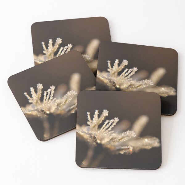 Item preview, November Frost designed and sold by Kathleen Daley.