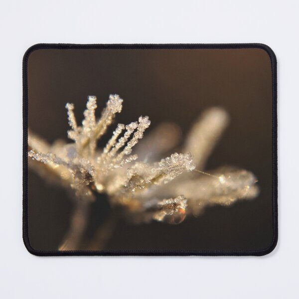Item preview, November Frost designed and sold by Kathleen Daley.