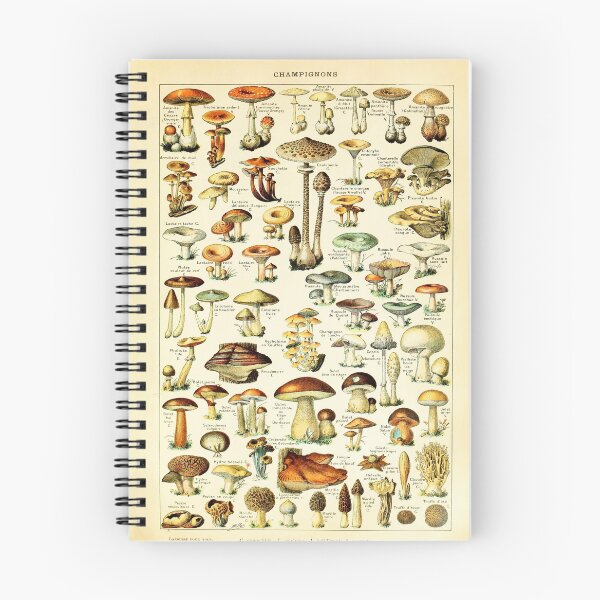 Item preview, Mushrooms designed and sold by moregreentimes.