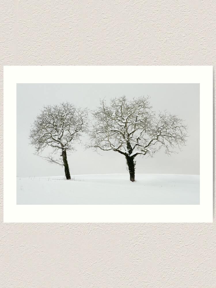 Thumbnail 1 of 3, Art Print, Two trees in the snow designed and sold by patmo.