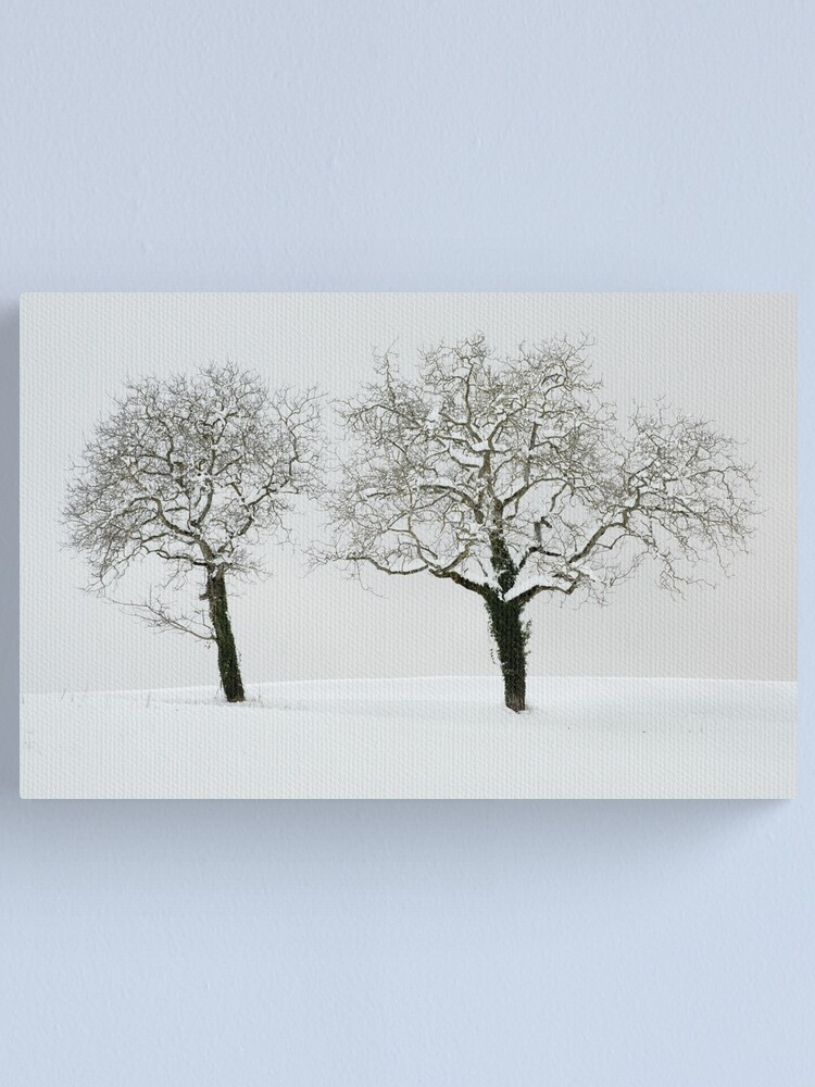 Thumbnail 1 of 3, Canvas Print, Two trees in the snow designed and sold by patmo.