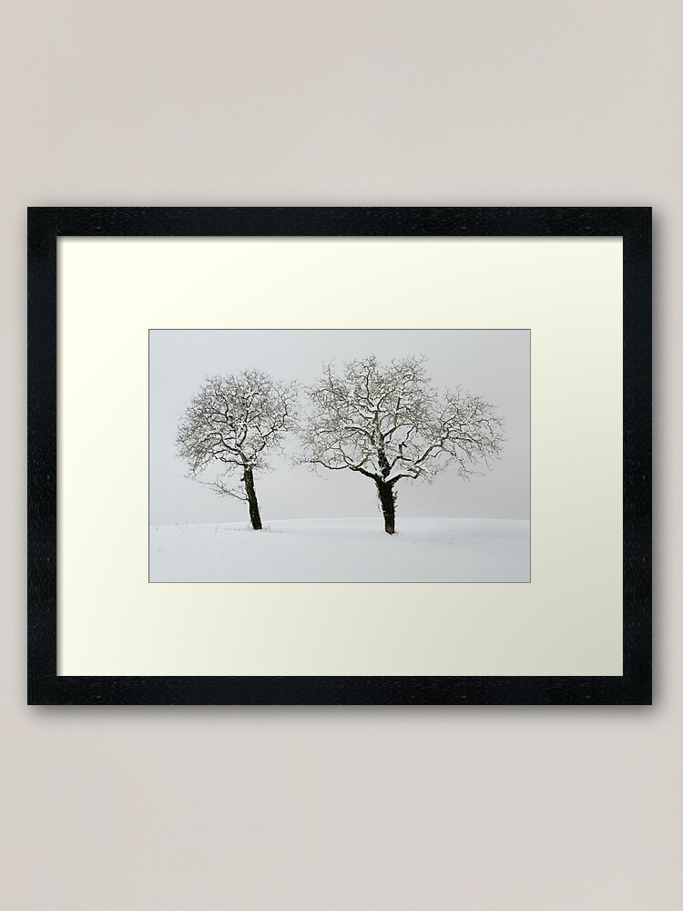 Thumbnail 1 of 7, Framed Art Print, Two trees in the snow designed and sold by patmo.