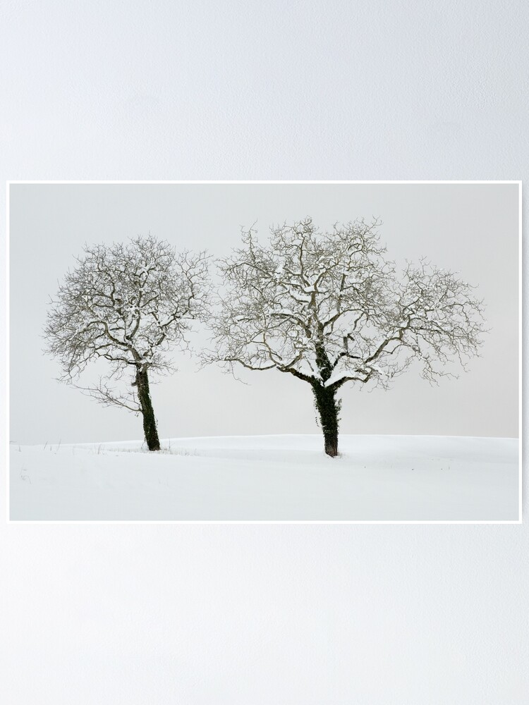 Thumbnail 1 of 3, Poster, Two trees in the snow designed and sold by patmo.